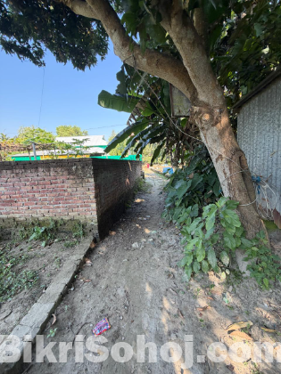 ১৩ শতক বাড়ির একাংশ জমি বিক্রি